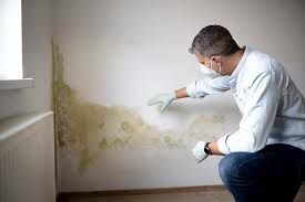 Best Comprehensive Air Testing for Mold Contaminants  in Rock Island, IL